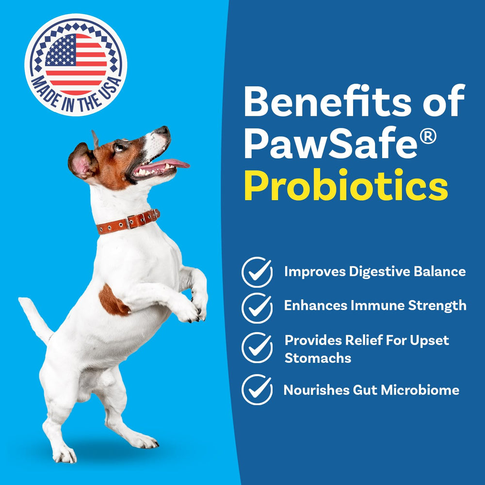 PawSafe dog probiotics soft chews close-up with tasty flavor and gut health focus