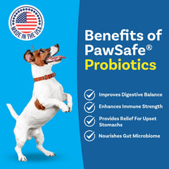 PawSafe dog probiotics soft chews close-up with tasty flavor and gut health focus