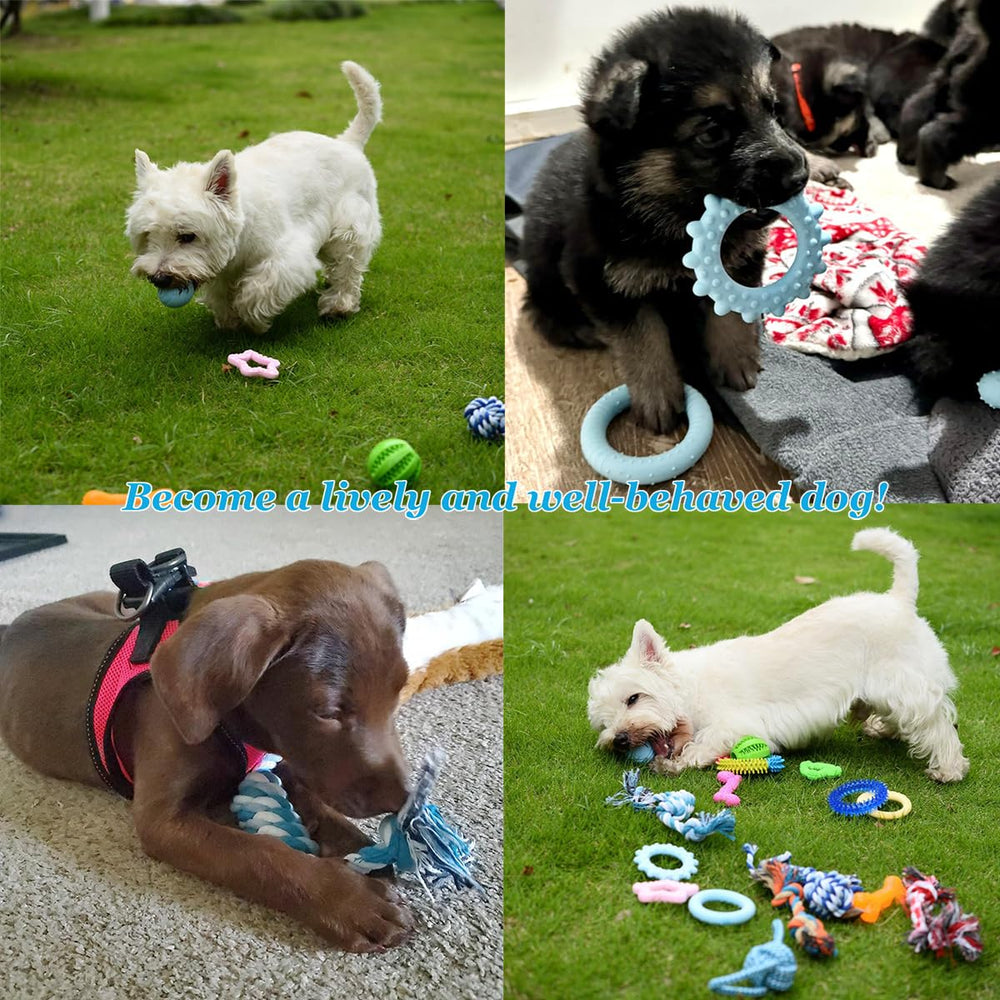 PawsAion pacifier toy helps soothing teething discomfort during chew sessions.