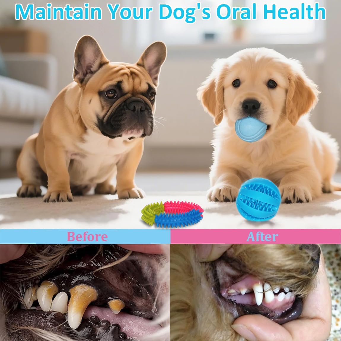 PawsAion rubber toothbrush bone toy with soft spikes for gum massage.