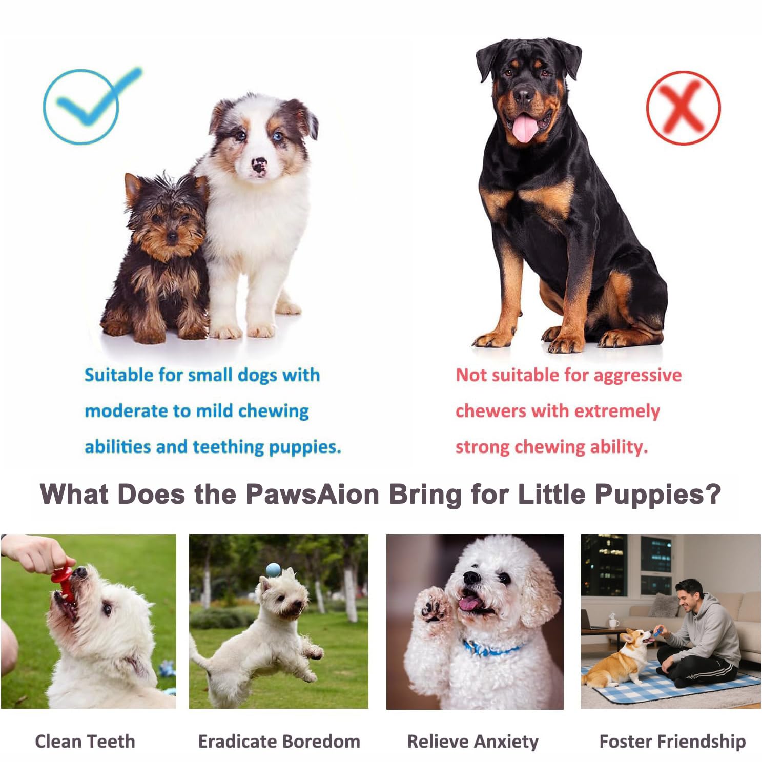 PawsAion treat dispenser ball promotes slow feeding and interactive play.