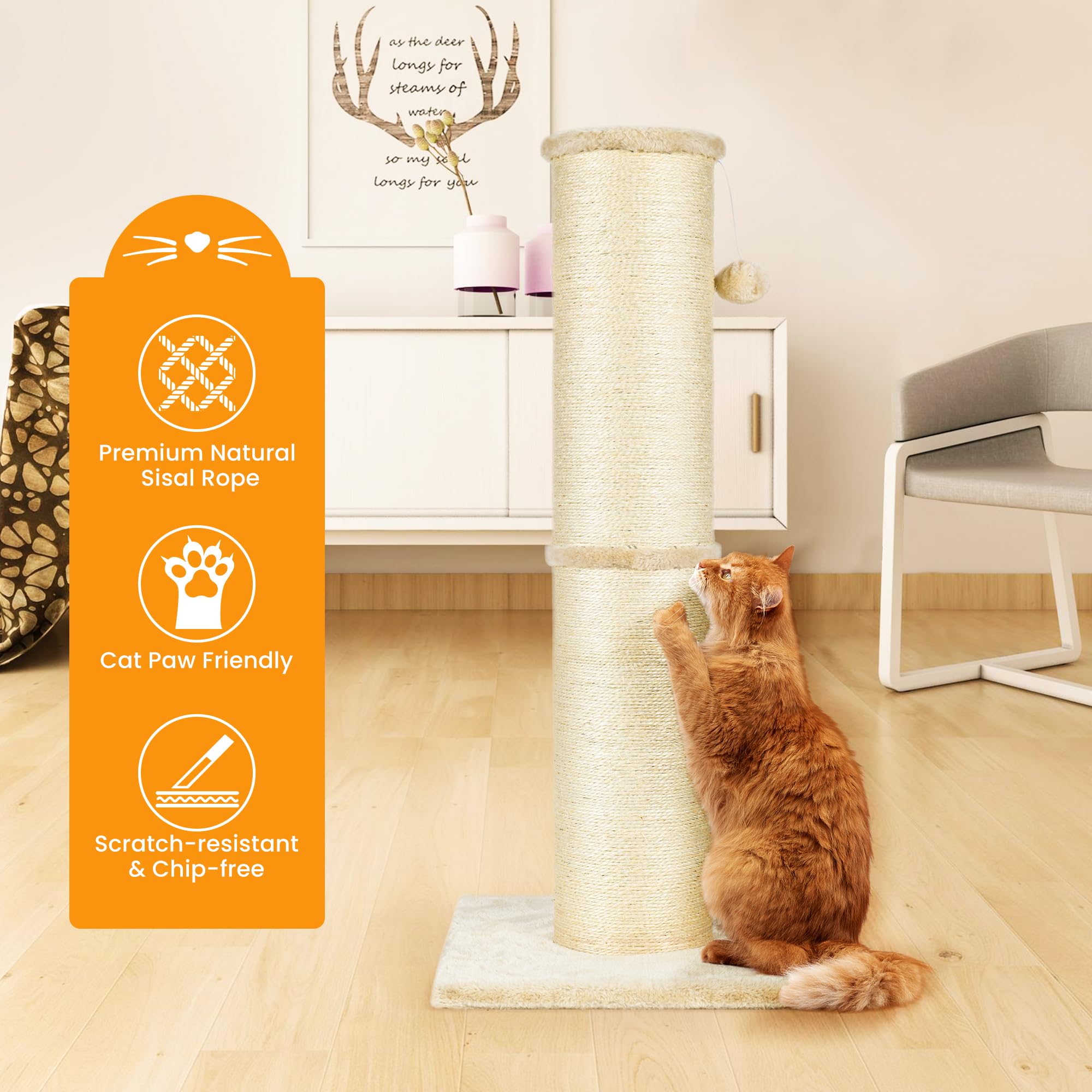 PAWSCRAT cat enjoying post interior setting demonstrates multi-cat home suitability