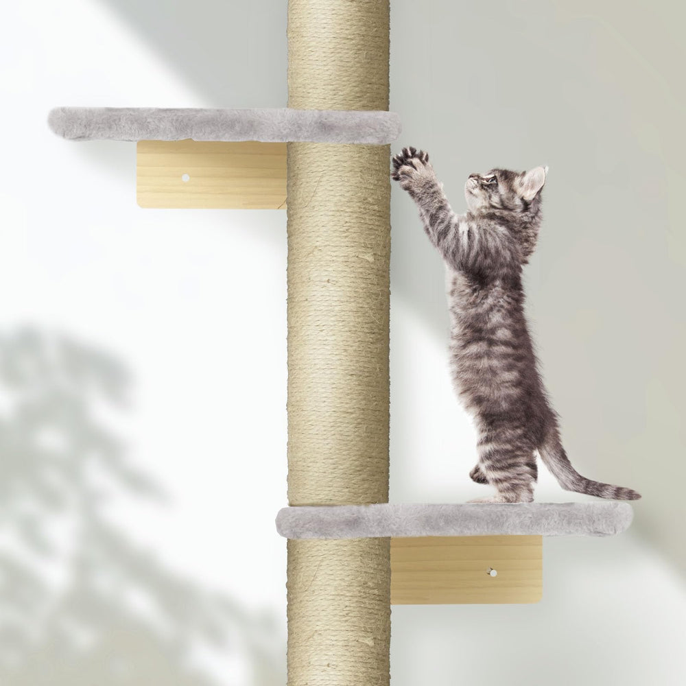 PAWSCRAT five-tier playground for climbing, scratching, and resting