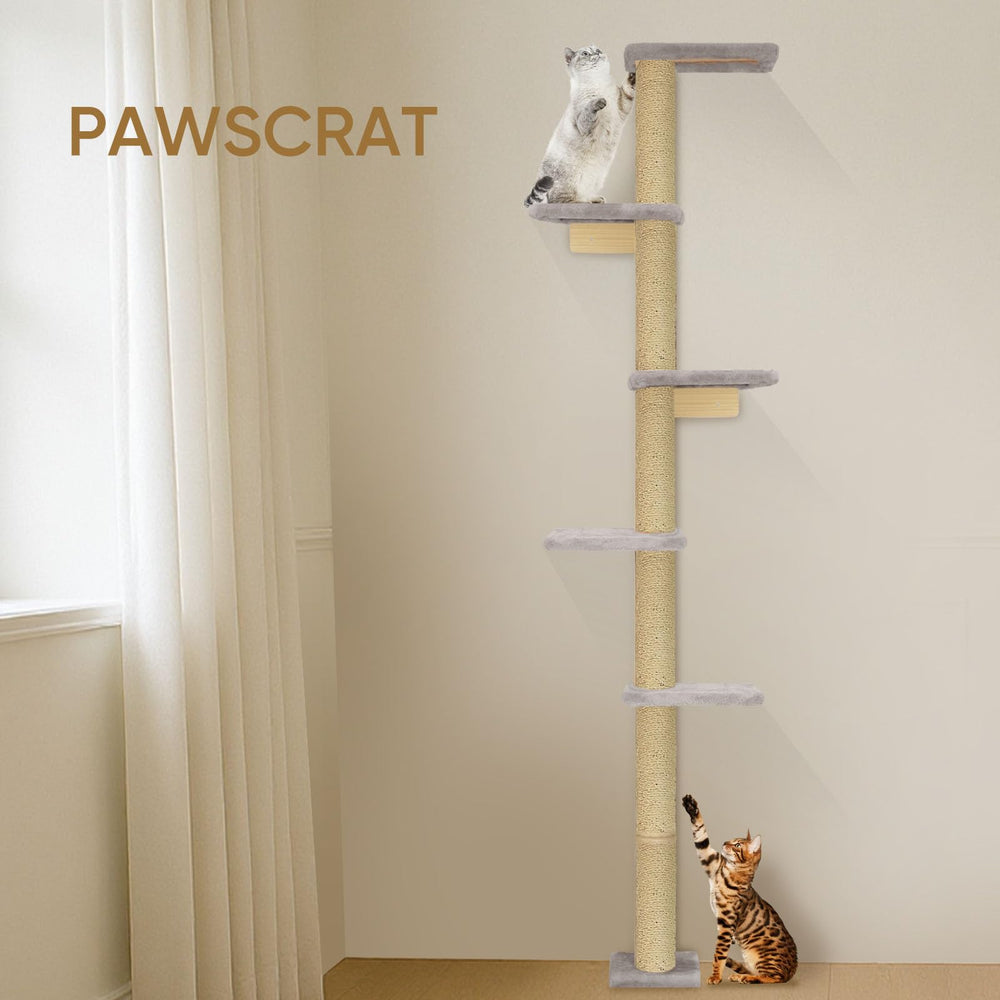 PAWSCRAT space-saving ceiling-to-floor cat tower in compact room