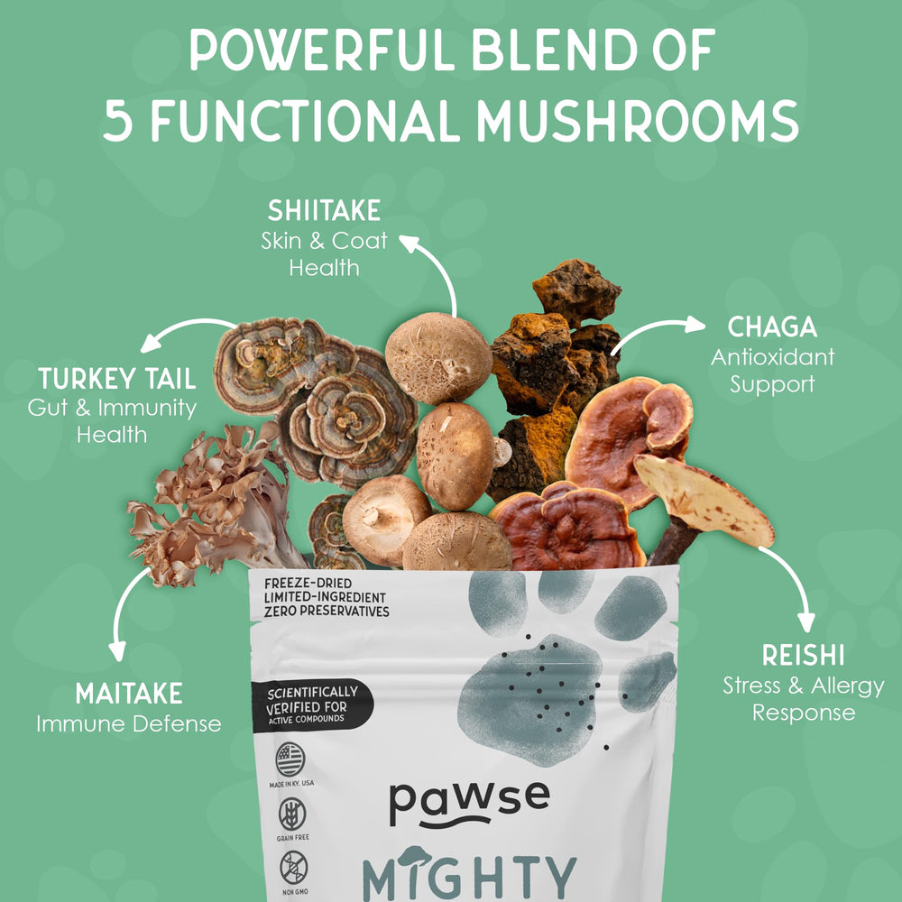 Pawse Mighty Mushroom blend with reishi chaga shiitake—antioxidant protection for aging pets