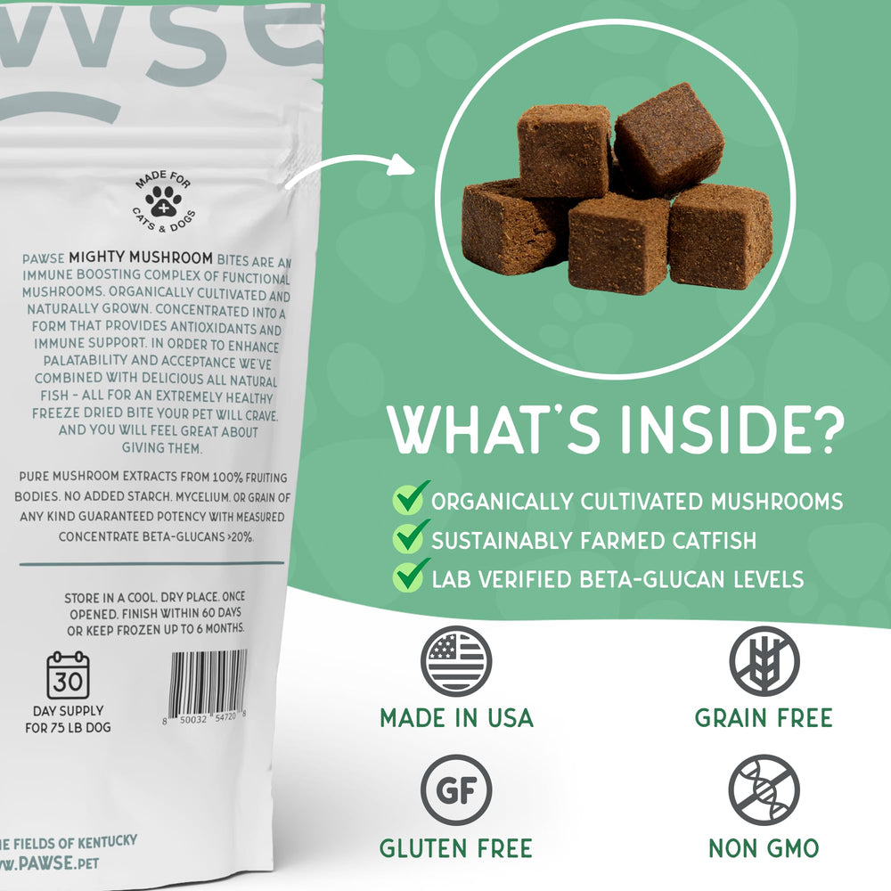 Pawse Mighty Mushroom daily routine image showing easy wellness for dogs and cats