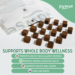 Pawse Mighty Mushroom product showing turkey-tail prebiotic benefits for gut health