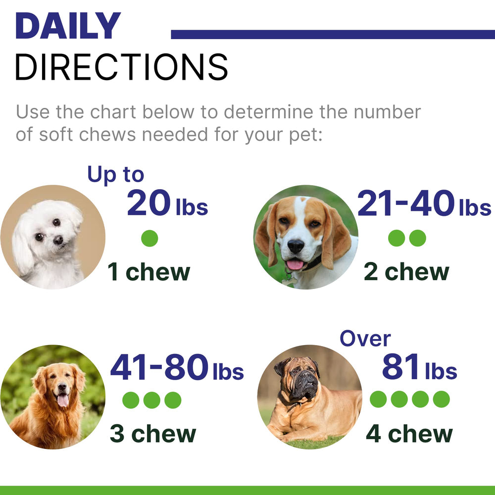 Pawsential Advanced Hemp Calming Treats dog calm during car ride scene