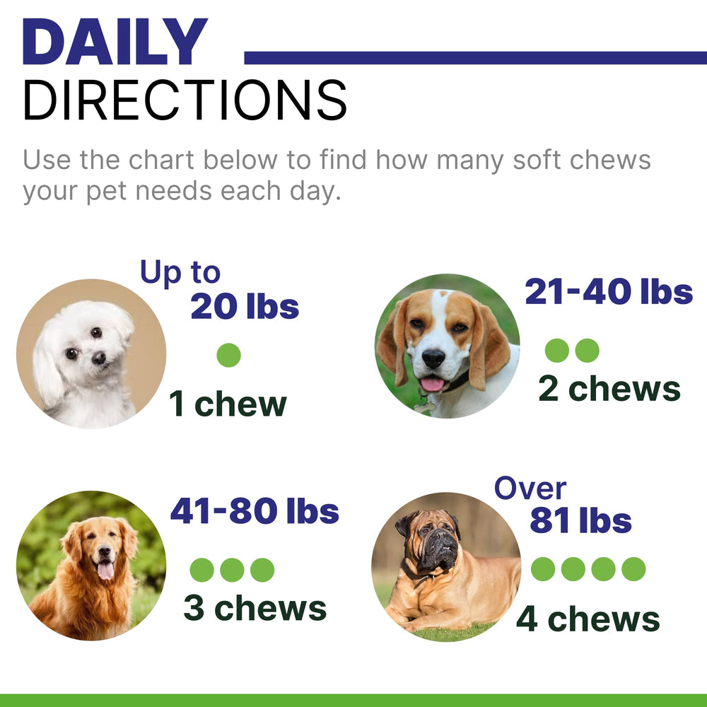 PAWSENTIAL Allergy Relief Dog Chews packaging showcases USA-made quality and safety.