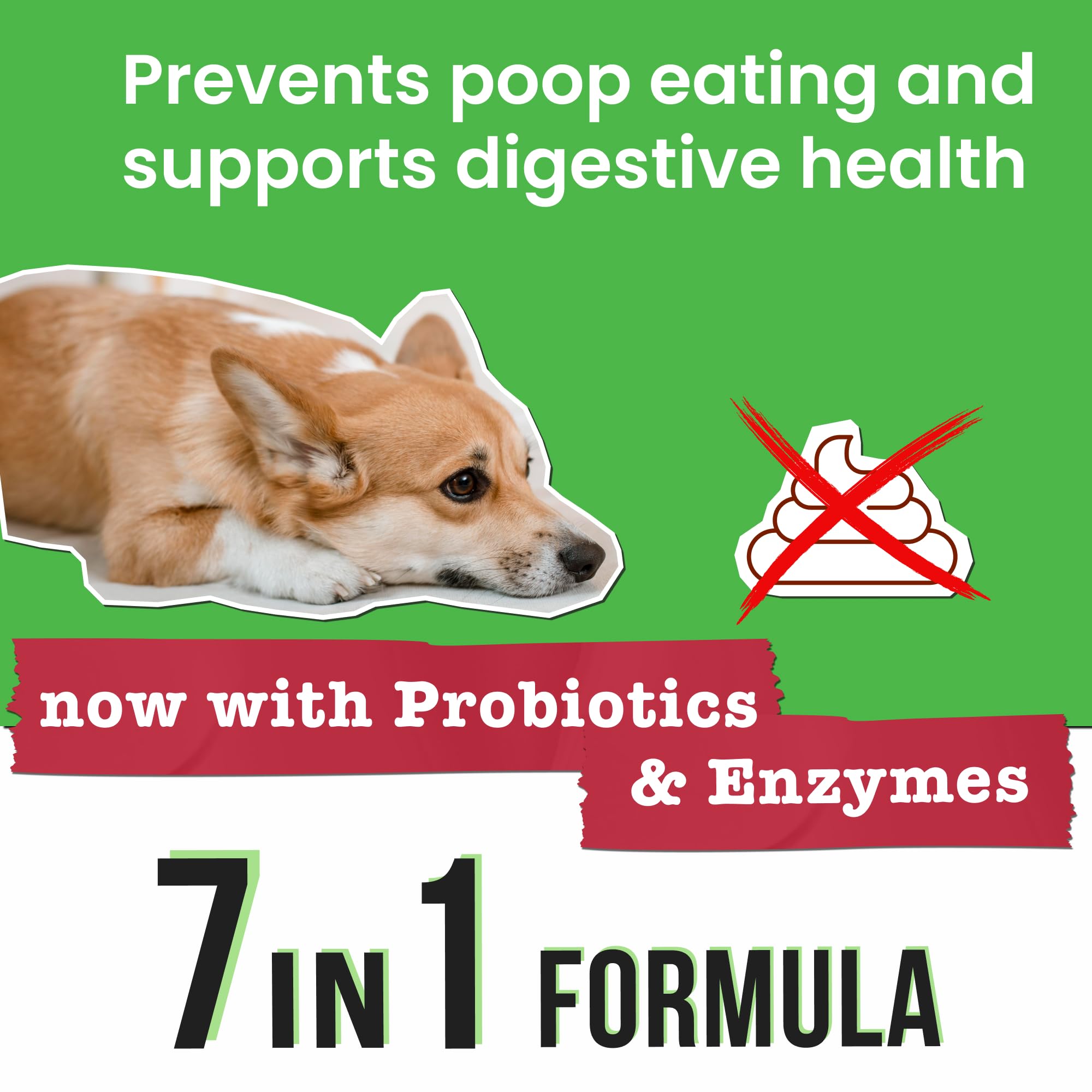 Pawsential No Poo Chews dog enjoying chew that supports digestion