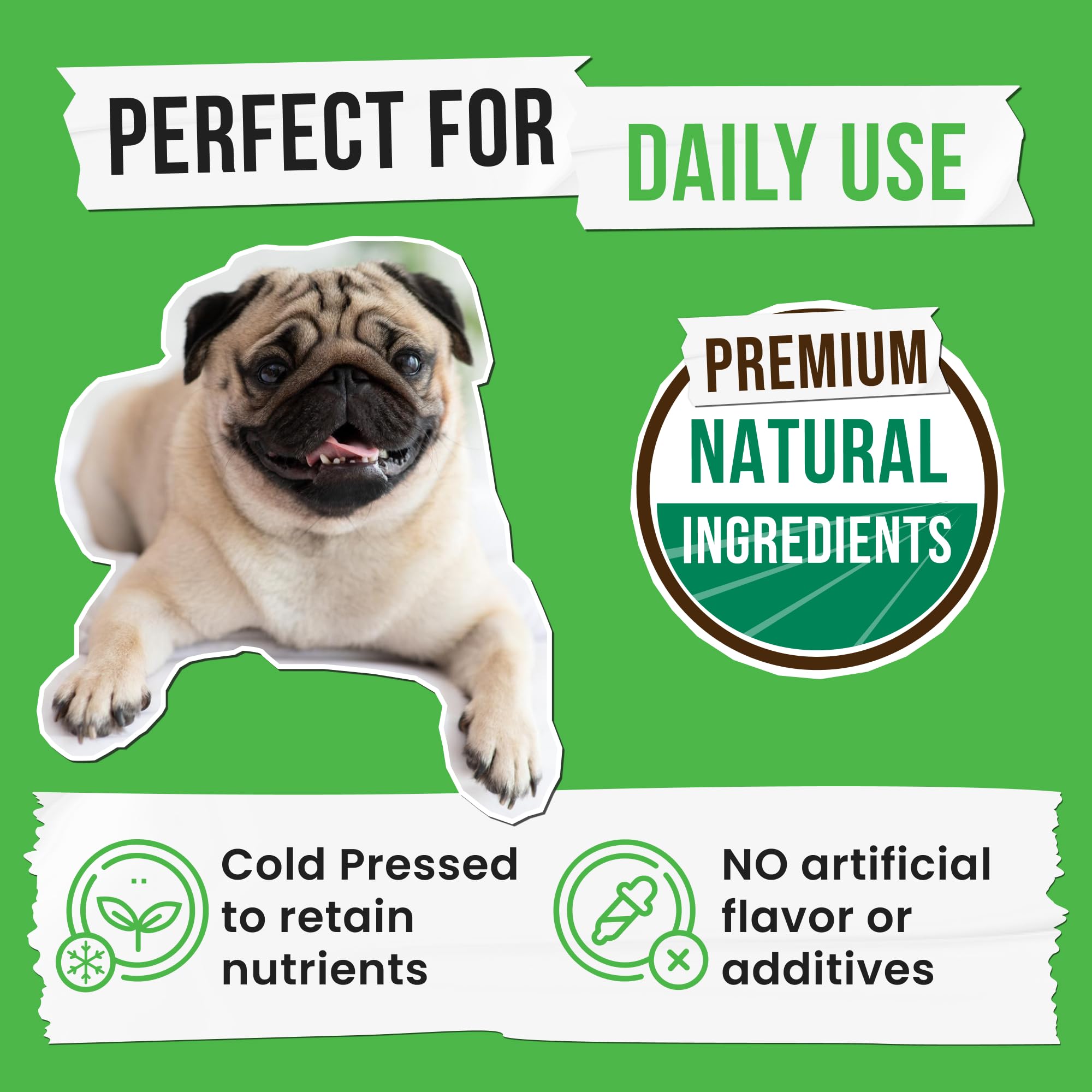 Pawsential No Poo Chews probiotics and enzymes for gut health