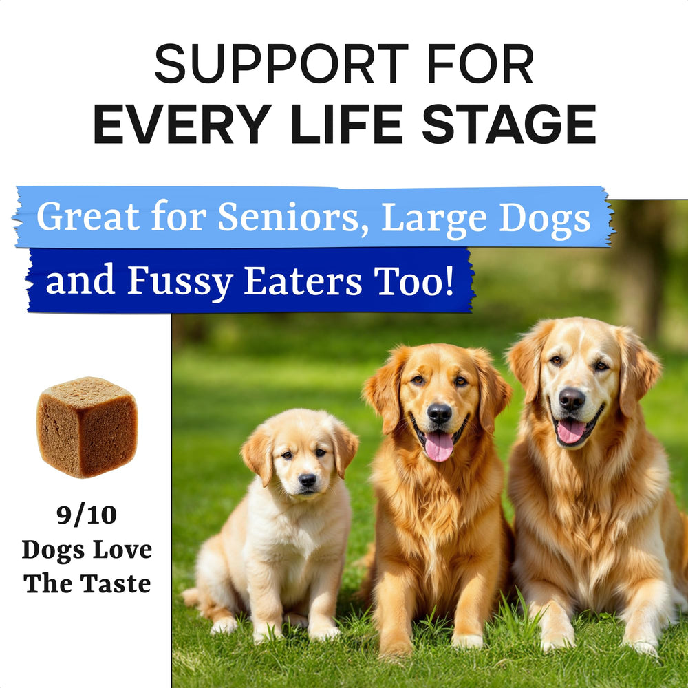 Pawsential probióticos para perros: digestión suave para estómagos sensibles.