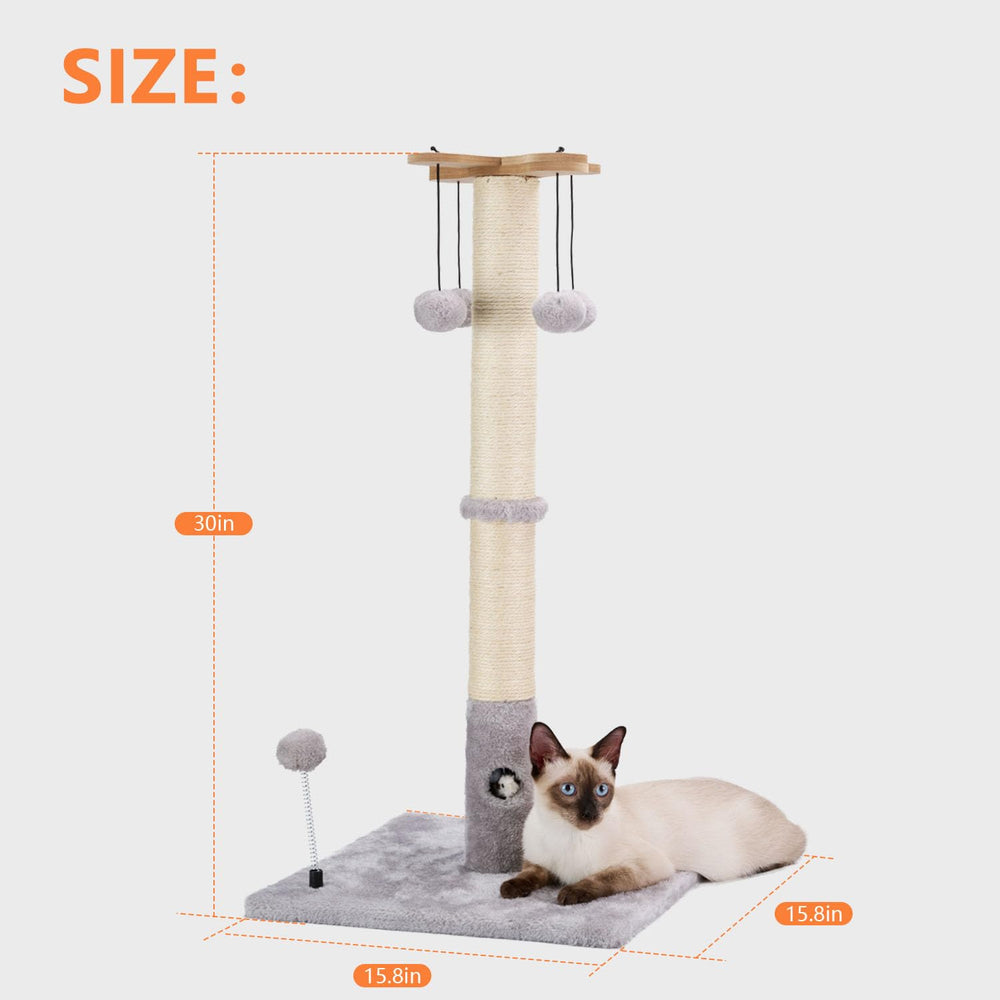 PAWSFANS two installation methods adapt from kitten to adult
