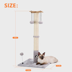 PAWSFANS two installation methods adapt from kitten to adult