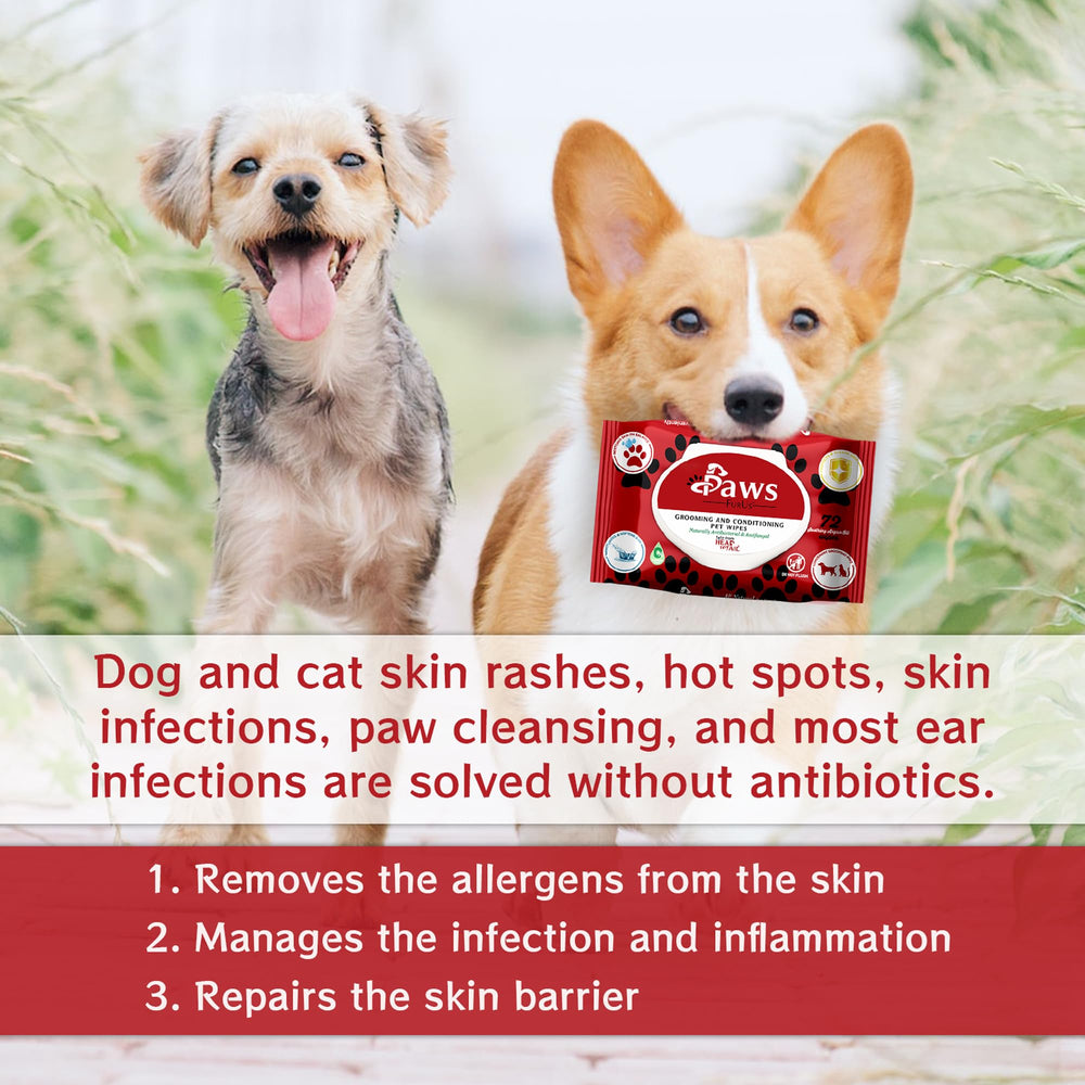 PawsFurUs wipes packaging features vegan, cruelty-free formula for gentle pet care.