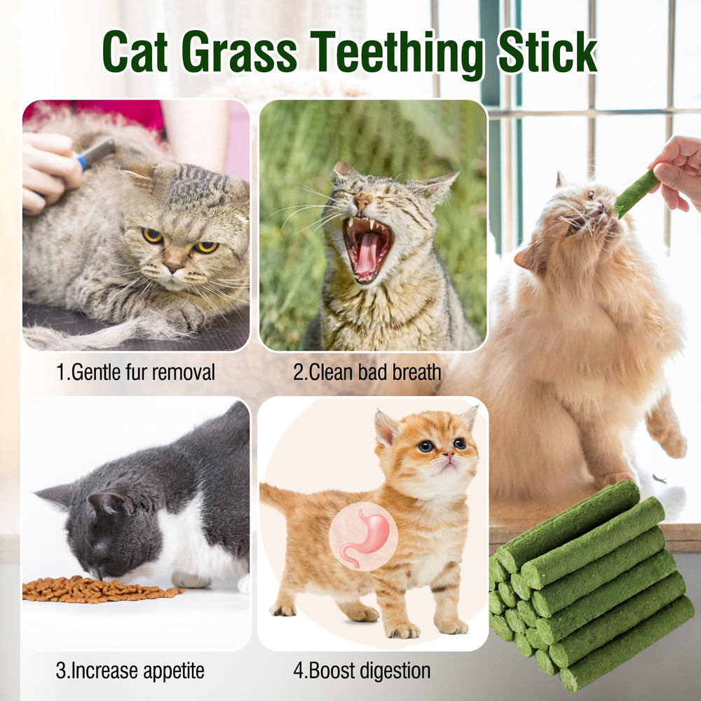PawsGear Cat Grass Teething Stick chicken bits close-up shows protein enrichment