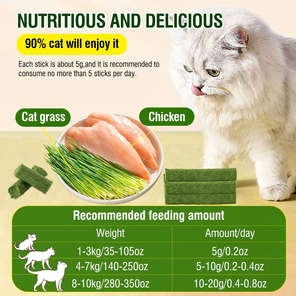 PawsGear Cat Grass Teething Stick close-up grass emphasizes digestion support