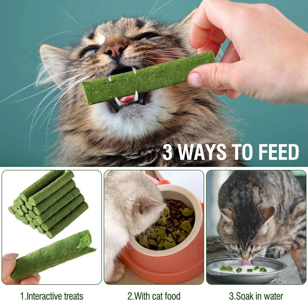 PawsGear Cat Grass Teething Stick dental texture demonstrates plaque-friendly surface