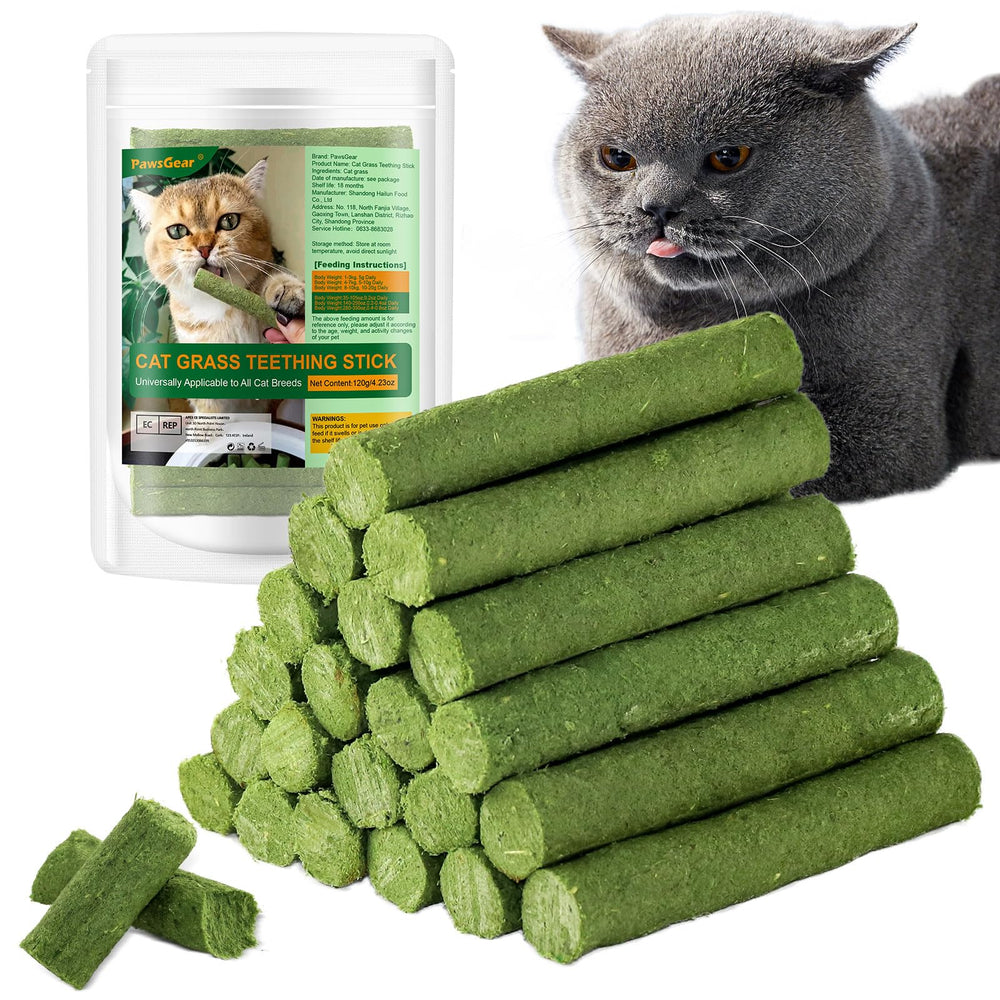PawsGear Cat Grass Teething Stick front view highlights natural chew for dental care