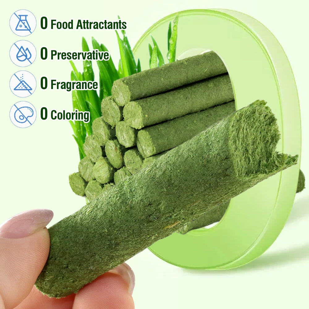 PawsGear Cat Grass Teething Stick indoor-use scene illustrates enrichment and play