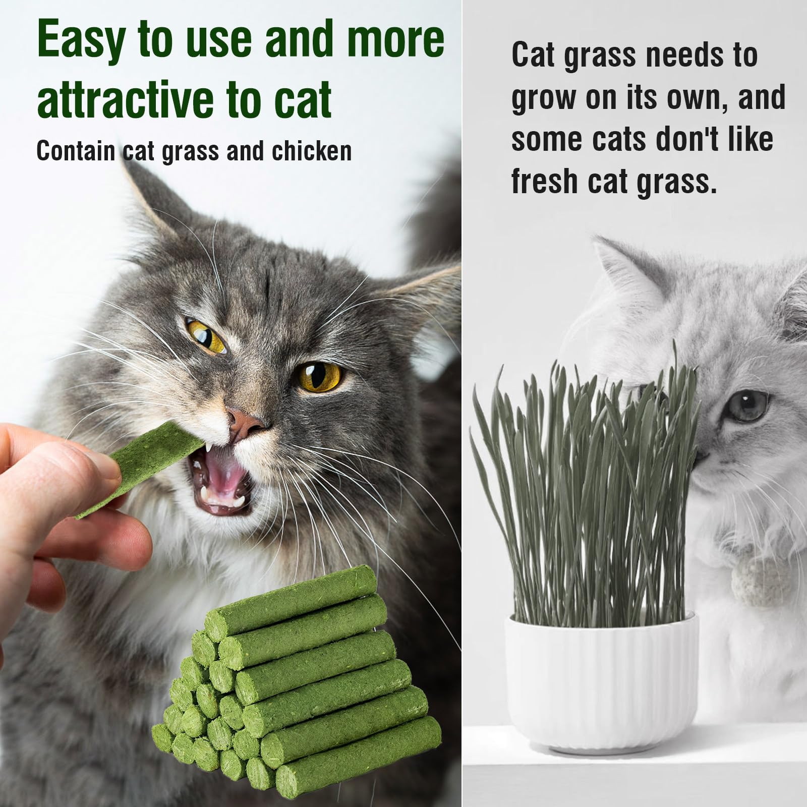 PawsGear Cat Grass Teething Stick packaging highlights safe, natural indoor toy