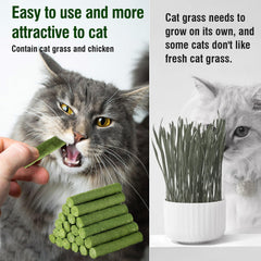 PawsGear Cat Grass Teething Stick packaging highlights safe, natural indoor toy