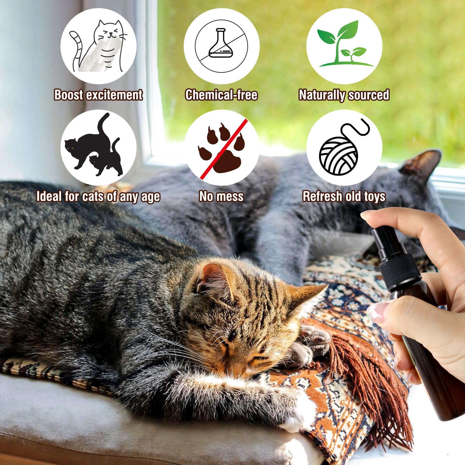 PawsGear Catnip Silvervine spray nozzle enables effortless application during training.