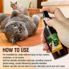 PawsGear Catnip Spray with Silvervine shows natural ingredients for cats.