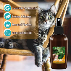 PawsGear Catnip Spray mist with Silvervine stimulates exploration and playful sessions.