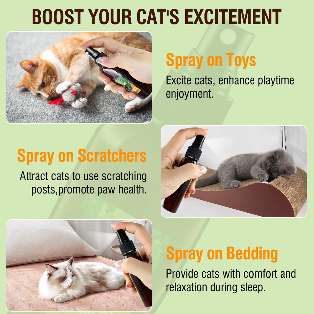 PawsGear travel-friendly bottle supports outdoor training and spontaneous play.