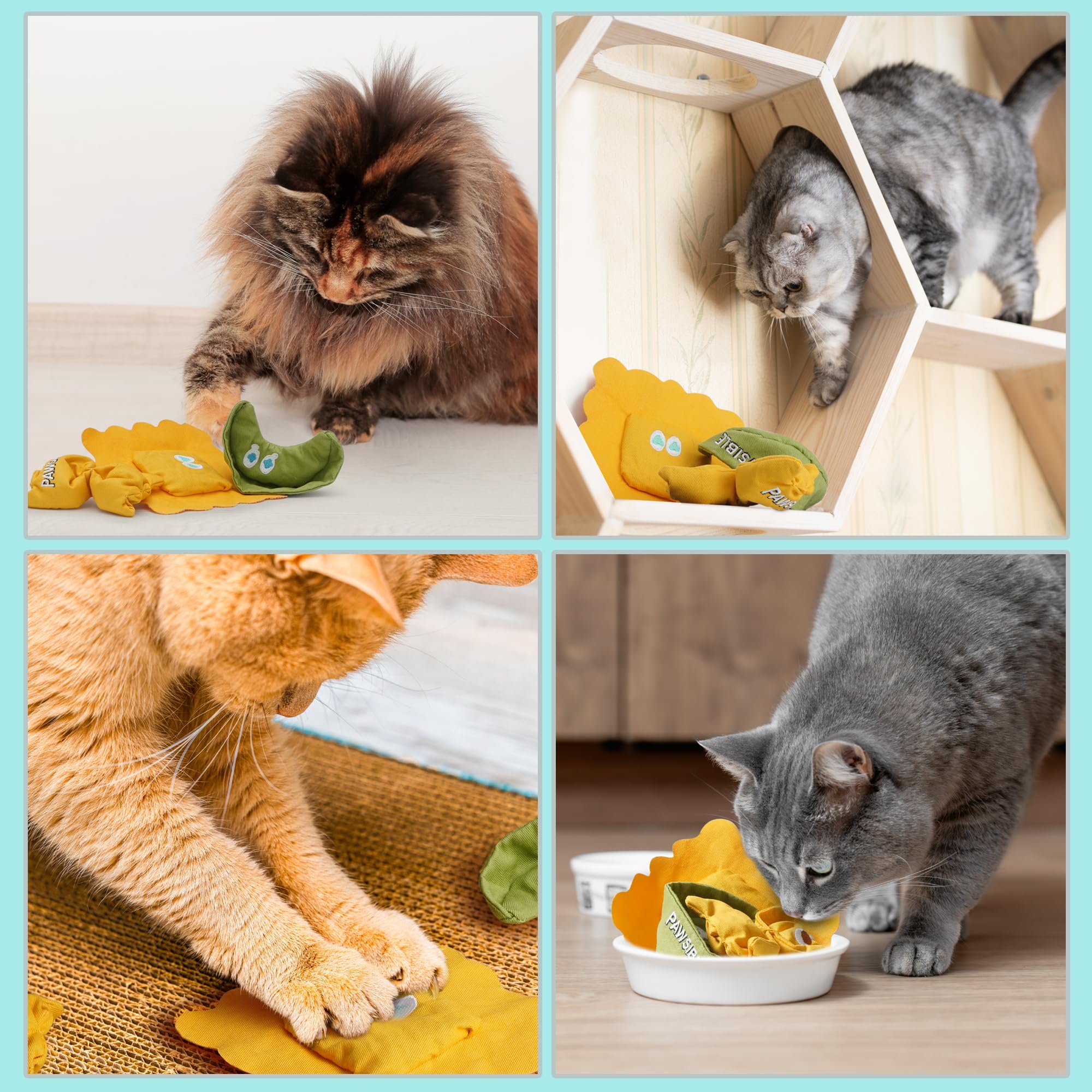 Pawsible Ravioli catnip toy packaging display shows bundle value and easy gifting.