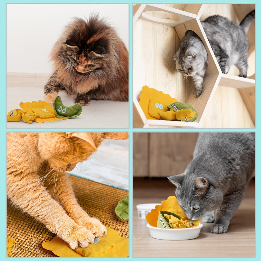 Pawsible Ravioli catnip toy packaging display shows bundle value and easy gifting.