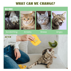 Pawsible Ravioli catnip toy teething-soft plush focuses on gentle teething and chew-friendly play.