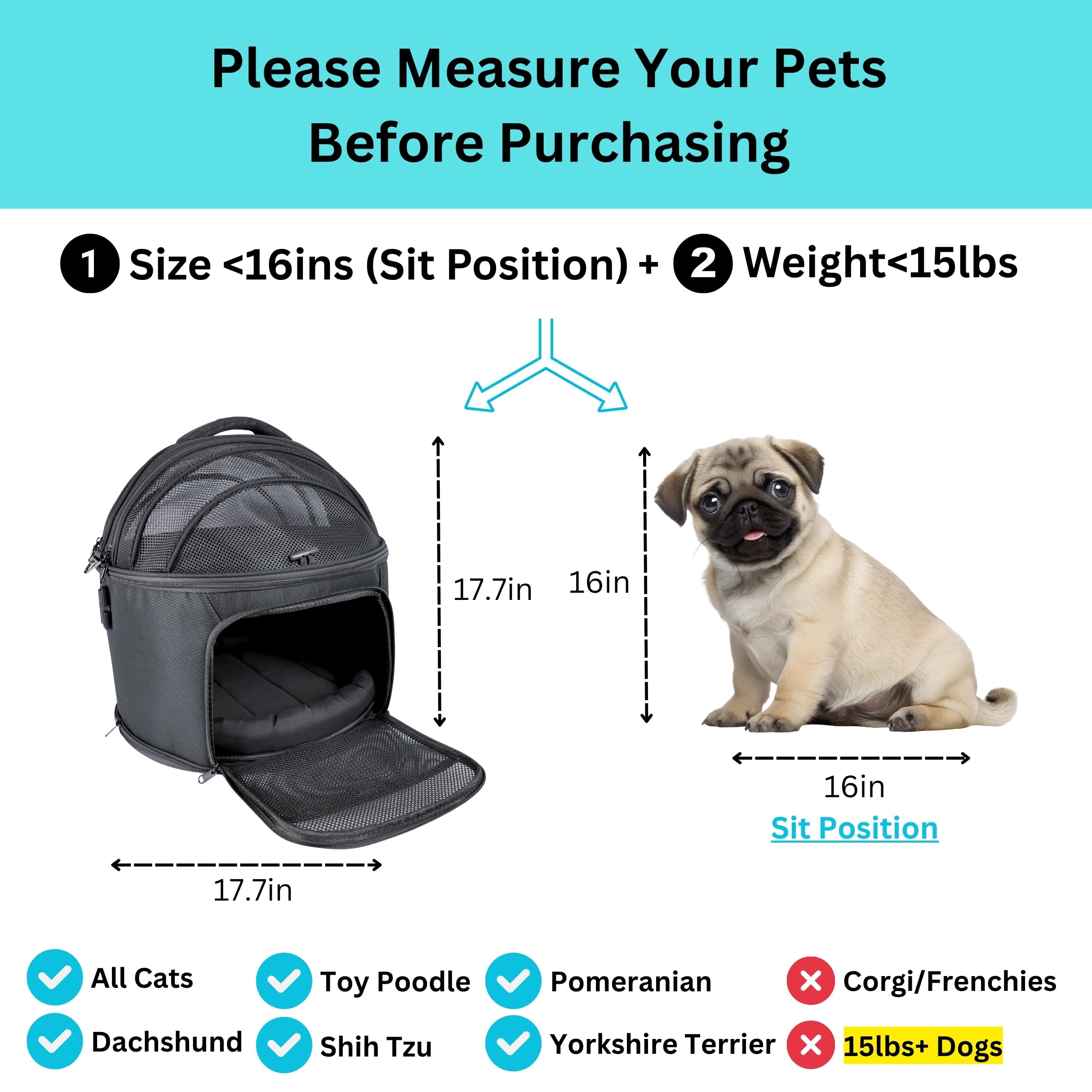 PawsinCar cat carrier for vet visits with secure design in car.
