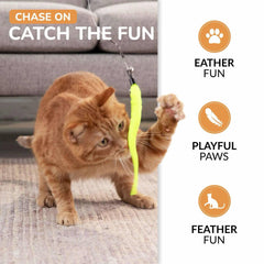 PAWSITIVE butterflies refill with fluttering wings for prey-mimicry