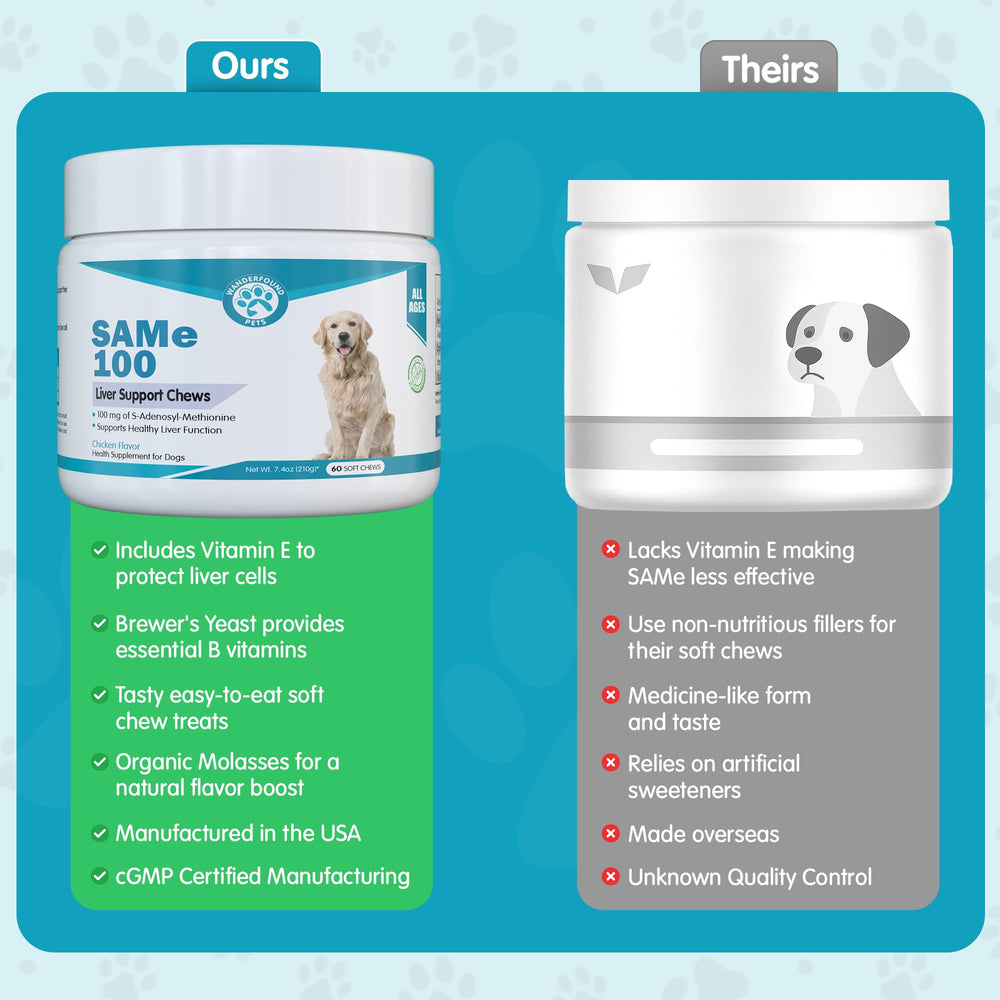 Pawsitive canine-cognitive-support chews presented for improved brain function and memory support.