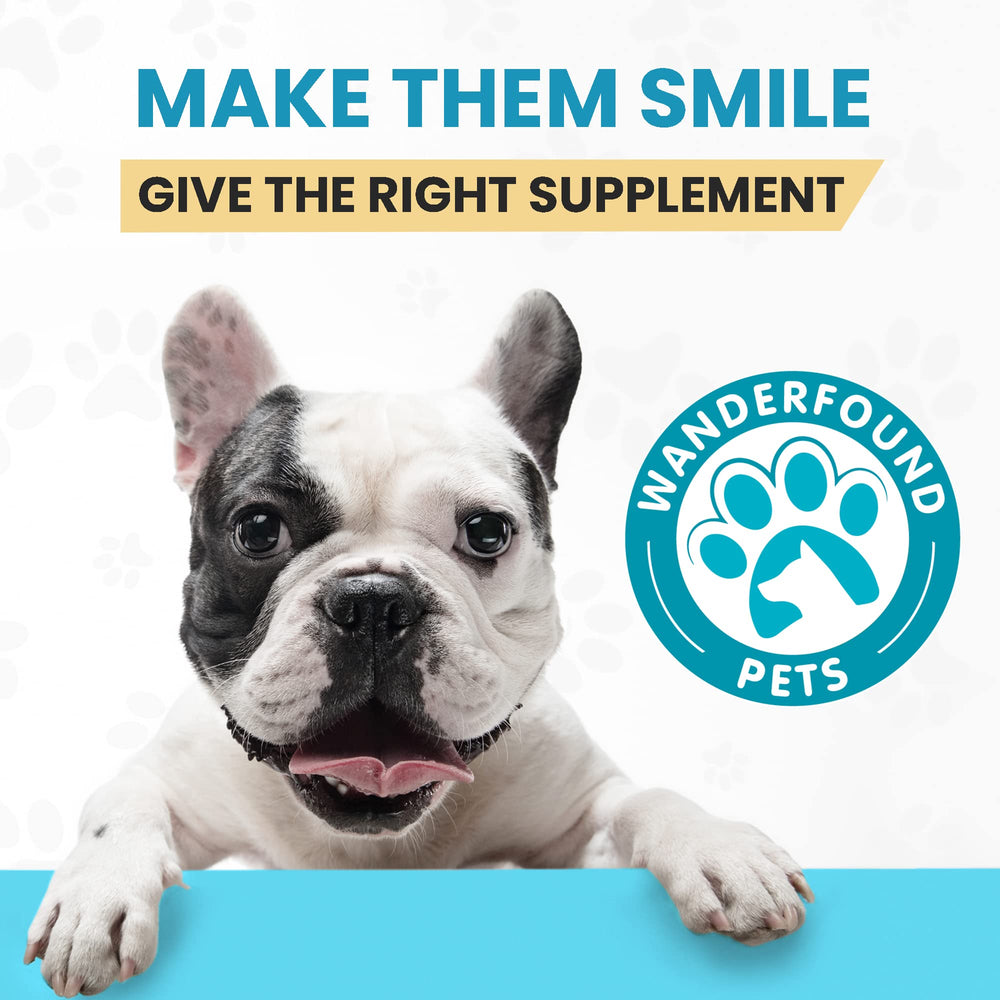 Pawsitive Wanderfound calming drops close-up for stress relief in pets.