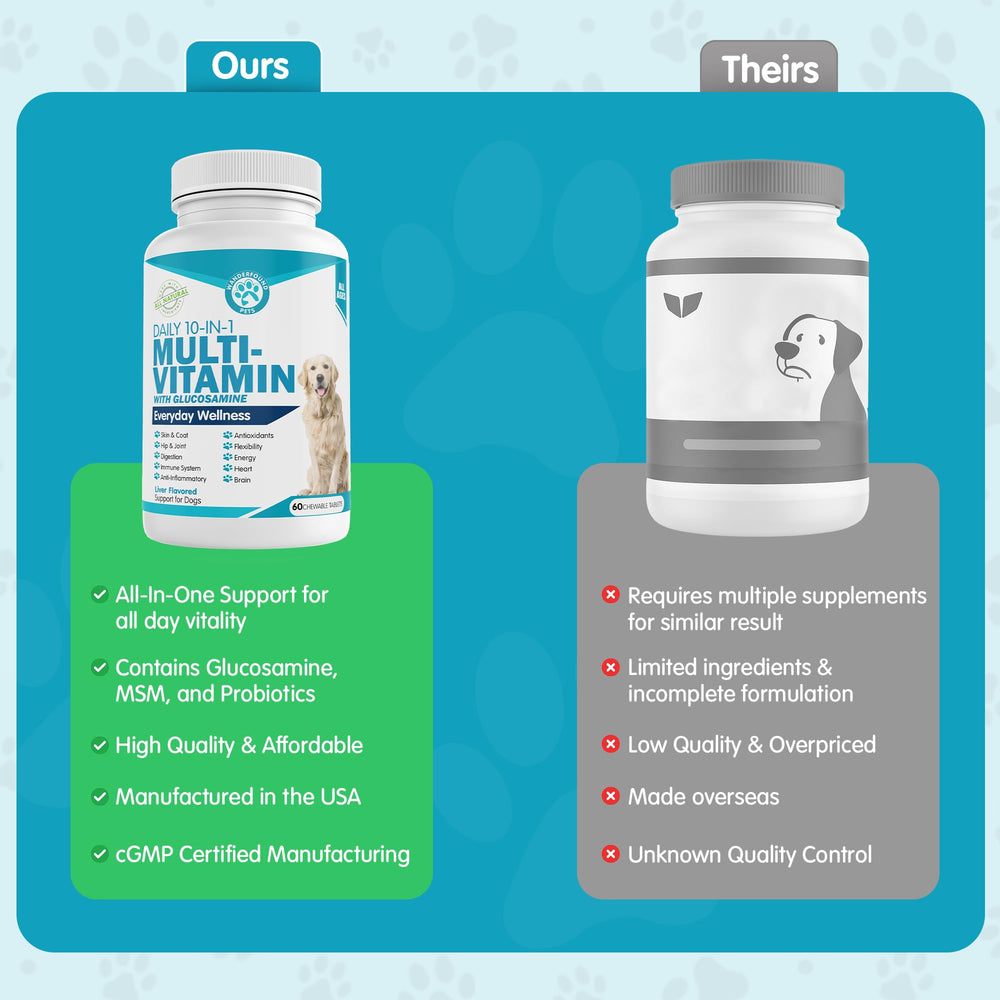 Pawsitive Wanderfound Pets tablet with glucosamine and MSM for joint comfort