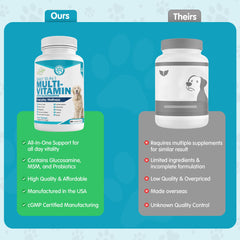 Pawsitive Wanderfound Pets tablet with glucosamine and MSM for joint comfort