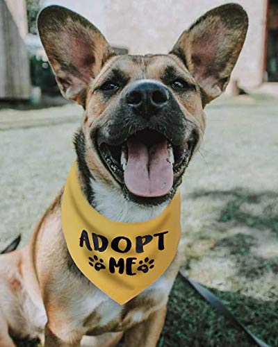 Pawskido Adopt Me Bandana close-up shows cotton double-layer fabric for durability