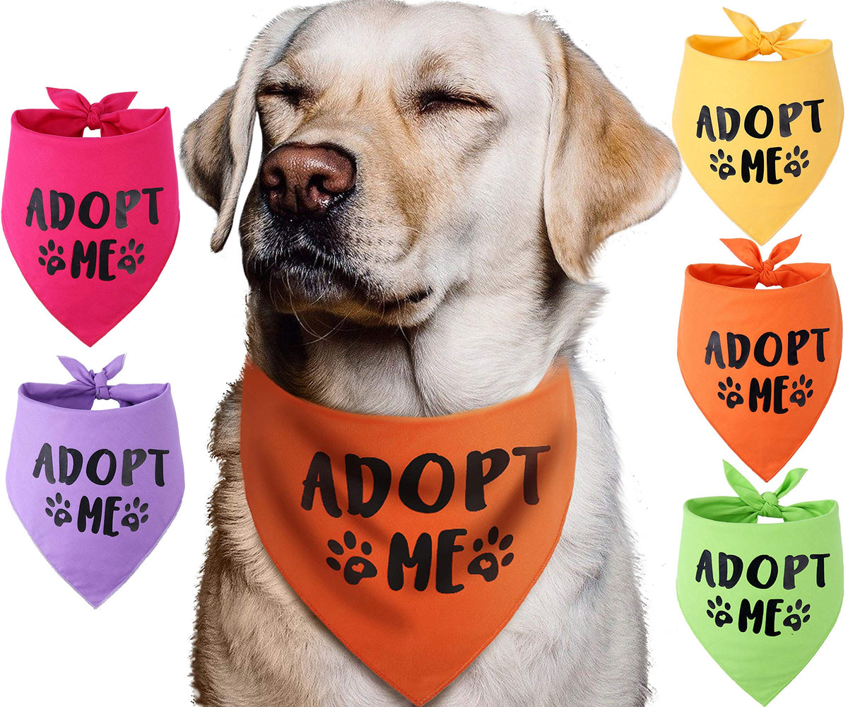 Pawskido Adopt Me Bandana pack in bright colors for dog outings.