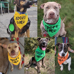 Pawskido Adopt Me Bandana orange on a dog for bold photos