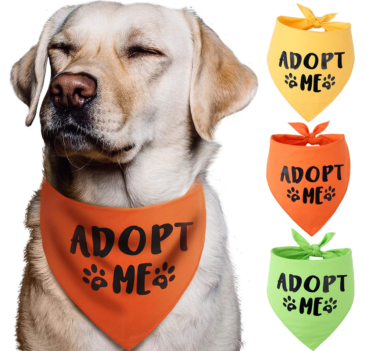 Pawskido Adopt Me Bandana yellow on a dog for adoption outreach