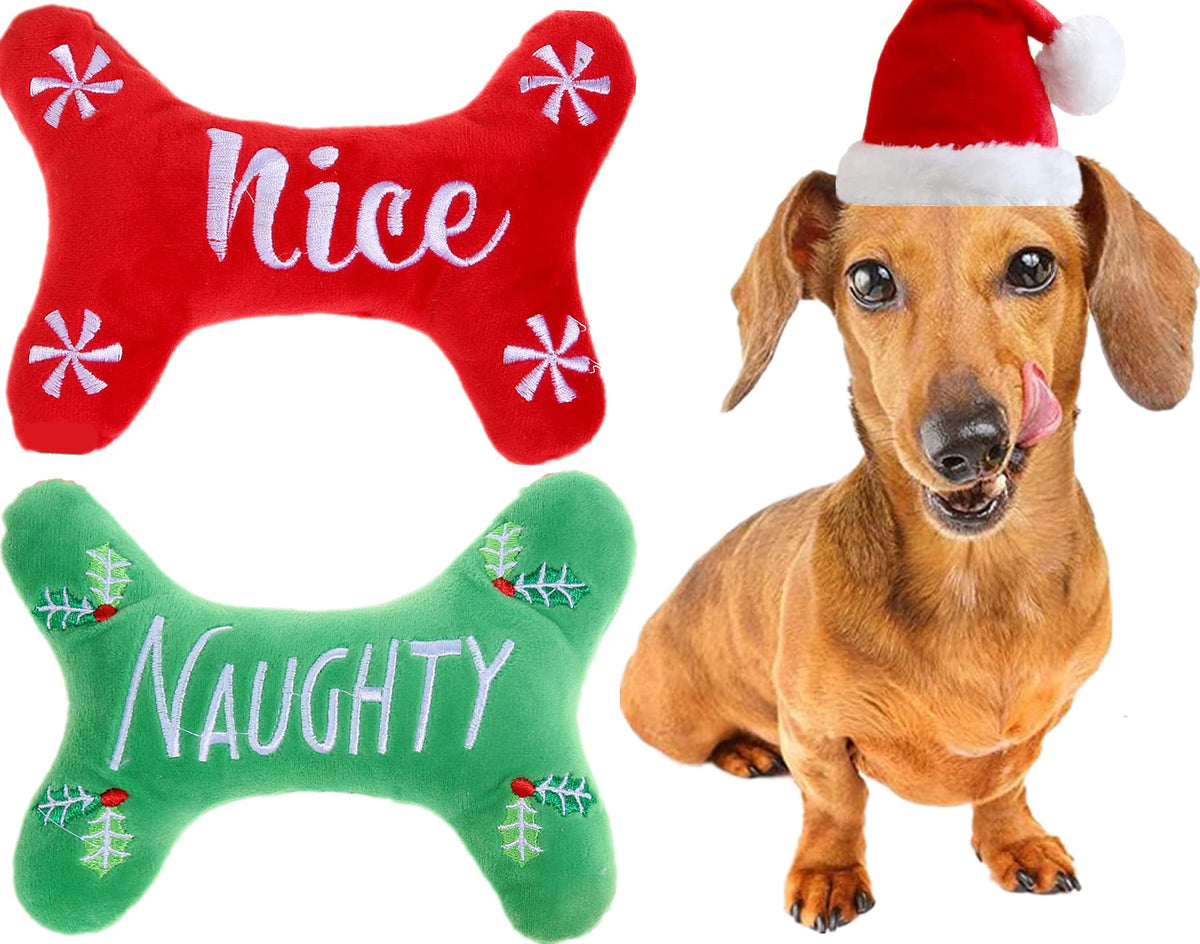 Pawskido bone-shaped toy in green keeps small dogs engaged with a squeaky, safe playtime.