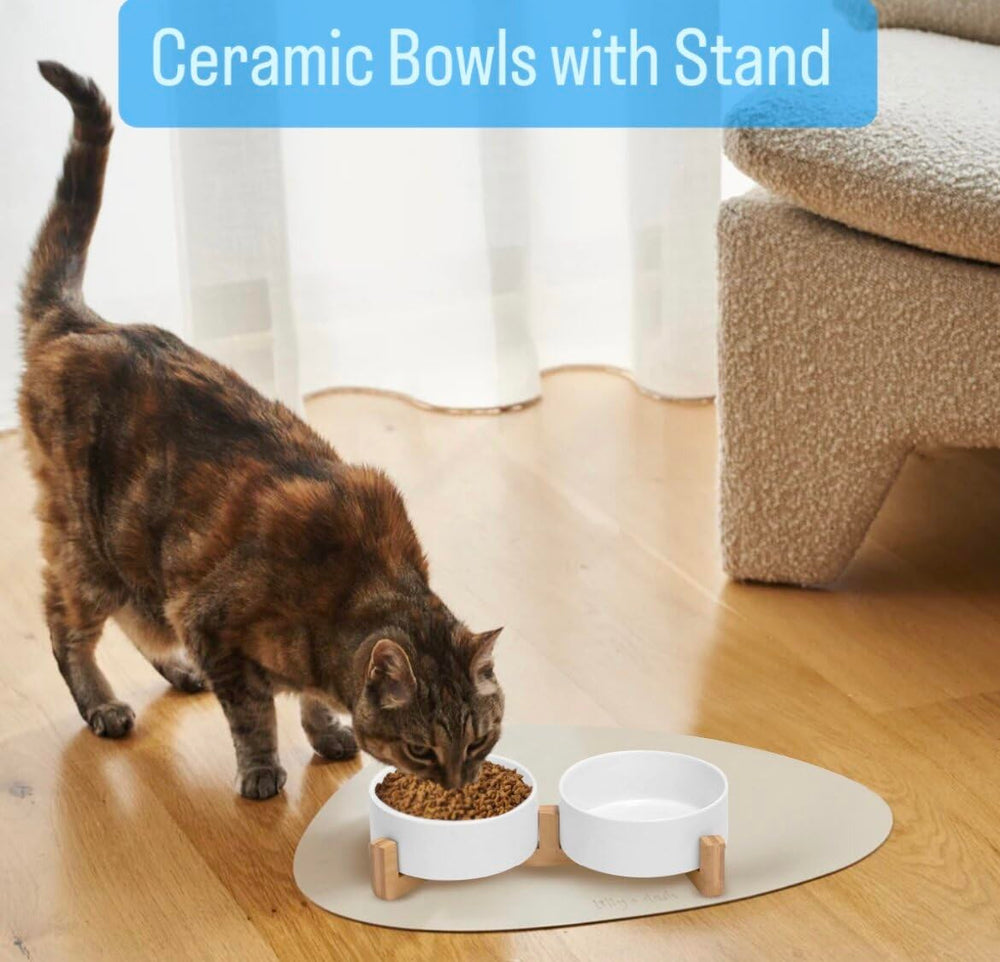 Pawsome ceramic bowls close-up showing glossy glaze for easy cleaning.