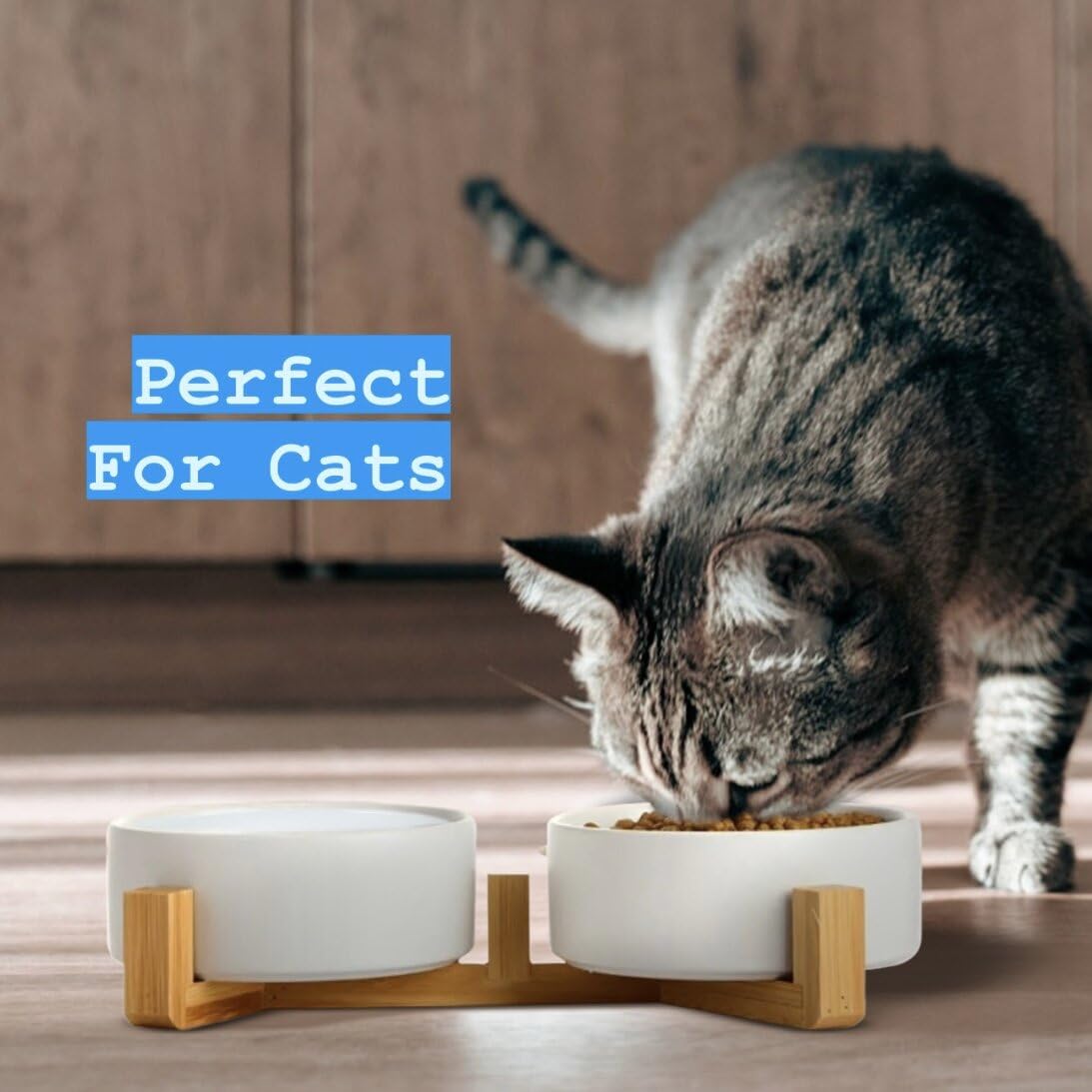 Pawsome ceramic bowls are dishwasher safe for quick cleanup.