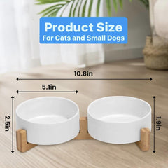 Pawsome double bowls ready for cat or small dog meals on stand.