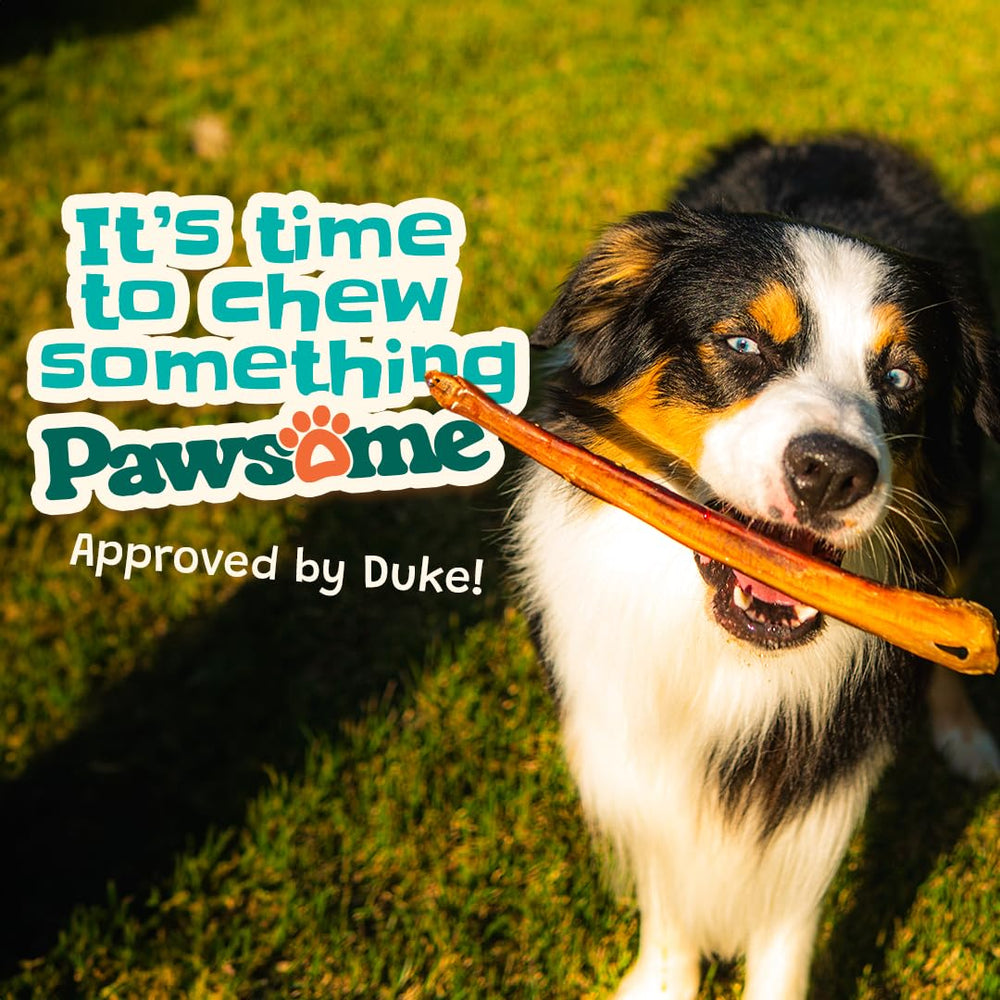 Pawsome Ranch Bully Sticks single-ingredient-beef closeup; supports simple, digestible snacking.