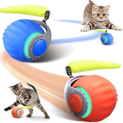 PawsomeFinds 2-Pack Interactive Cat Toy package showing two color variants for versatile play
