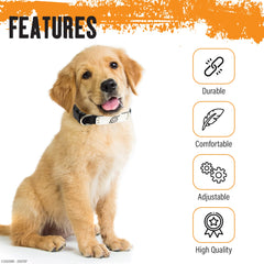 Pawsonify Naruto collar shows puppy-to-XL adjustable fit for many dogs.